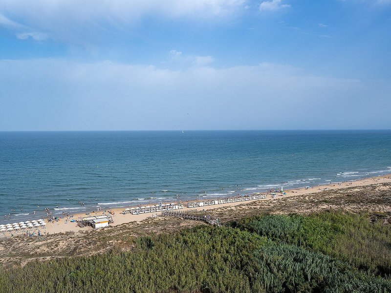 Hotel Playas de Guardamar 8