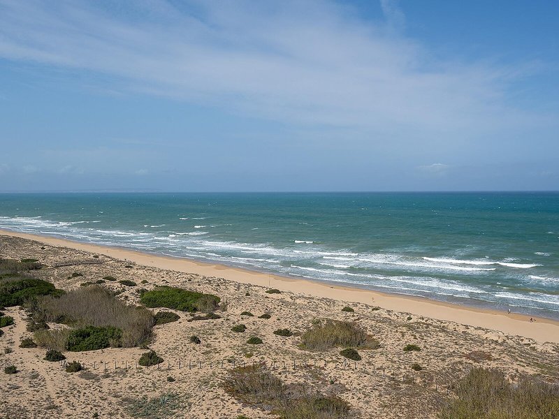 Hotel Playas de Guardamar 12