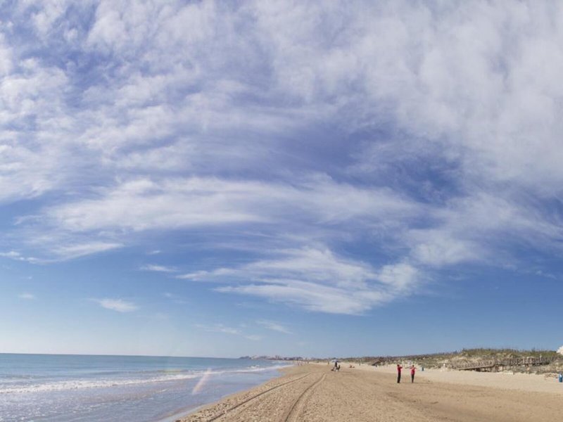 Hotel Playas de Guardamar 13