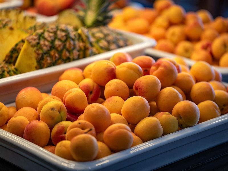 Hotel Playas de Guardamar 36