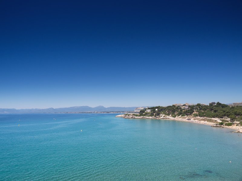 htop Molinos Park 40