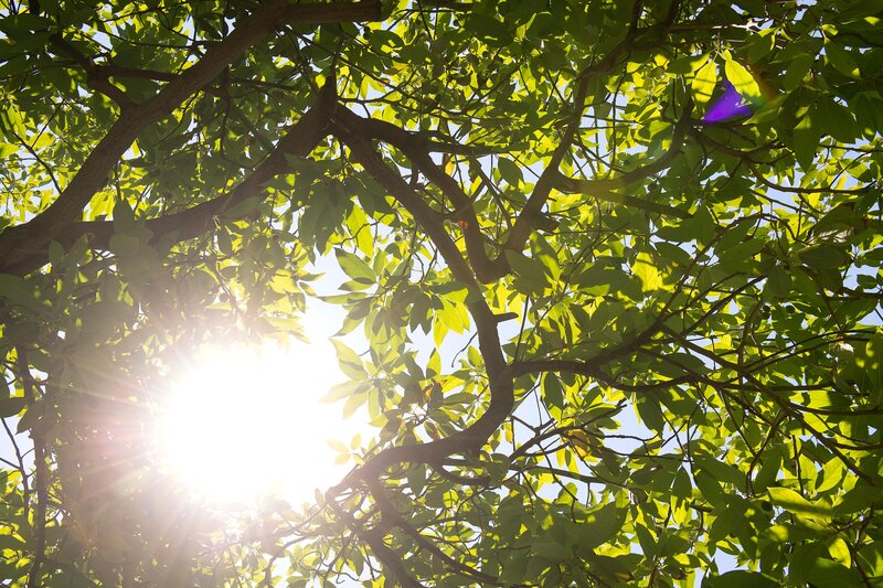 Miramare Beach Hotel 240