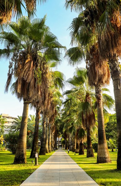 Miramare Beach Hotel 46