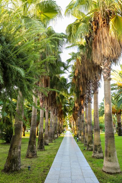 Miramare Beach Hotel 24