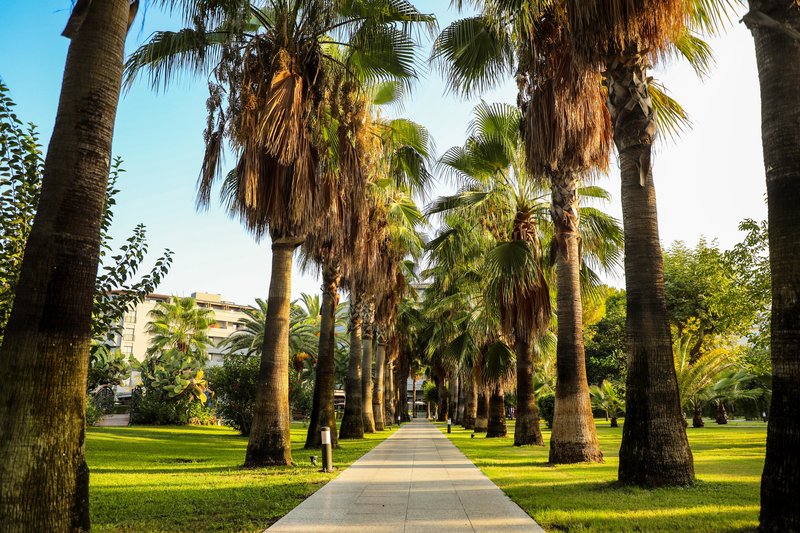 Miramare Beach Hotel 167