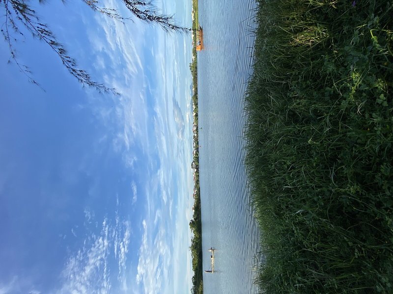 Villa Orchid Garden Riverside 4