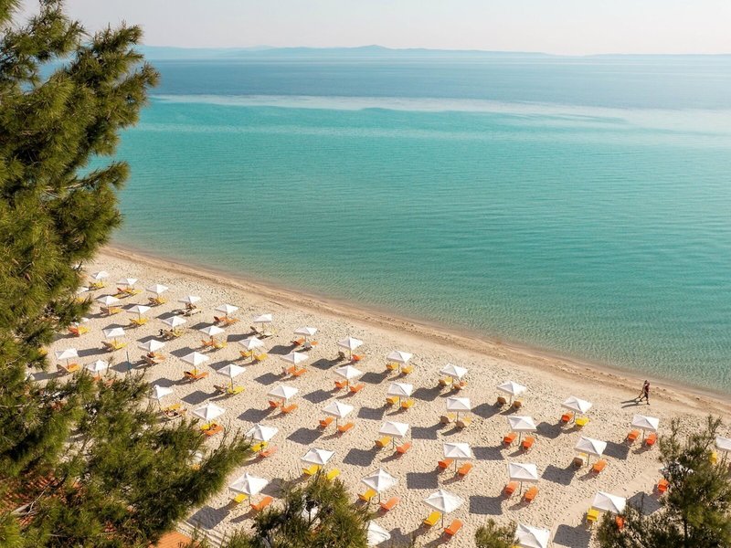 Mitsis Alexander the Great 4