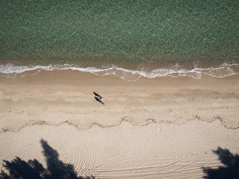 Mitsis Alexander the Great 5