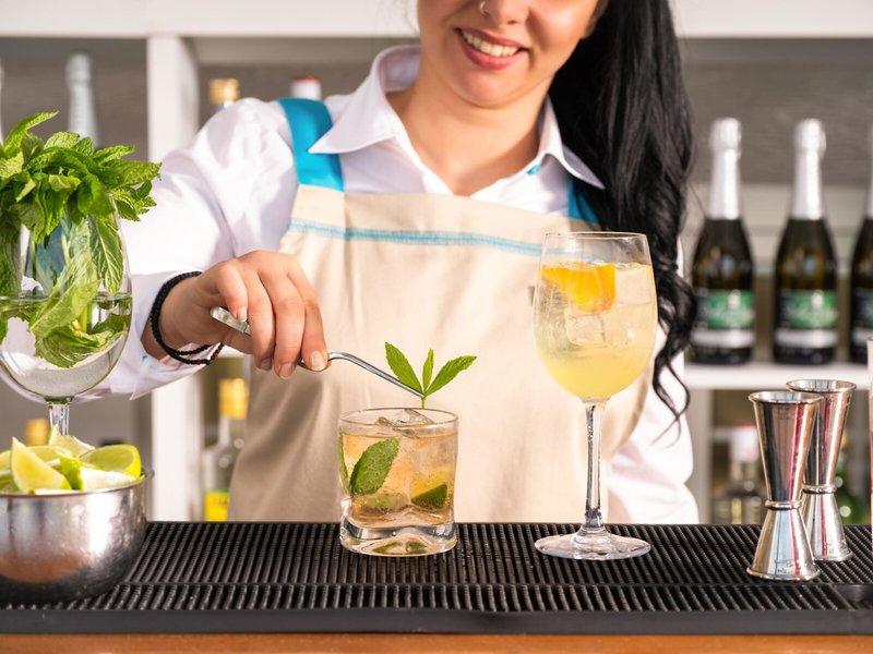 Mitsis Alexander the Great 17