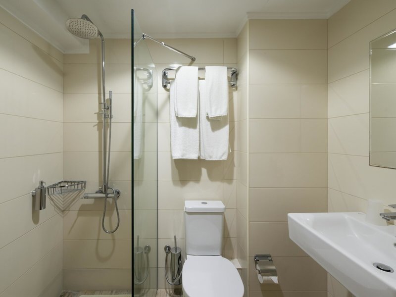 Mitsis Alexander the Great 31