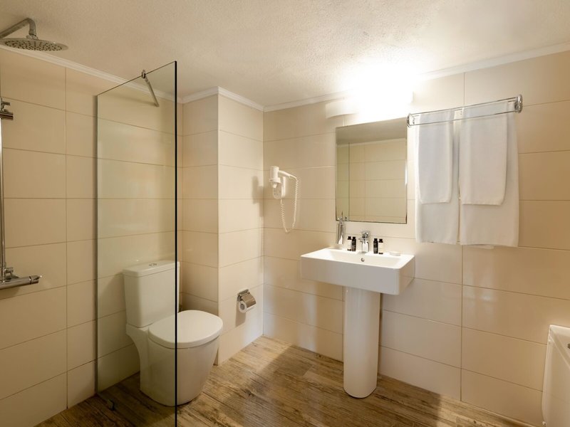 Mitsis Alexander the Great 41