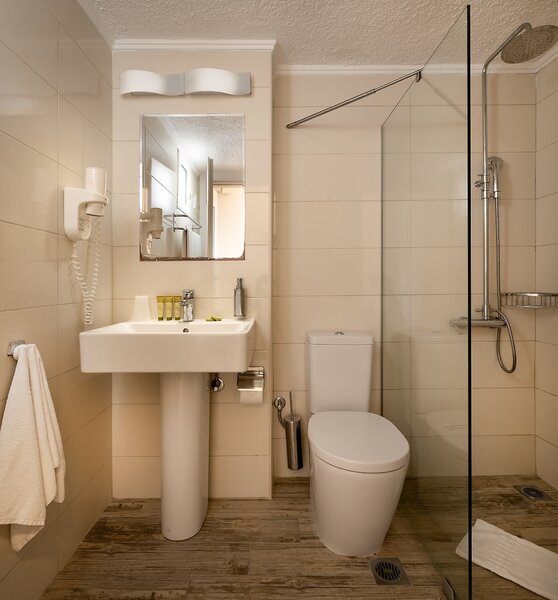 Mitsis Alexander the Great 15