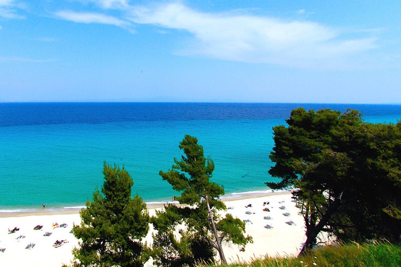 Mitsis Alexander the Great 7