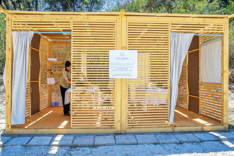 Mitsis Alexander the Great 8