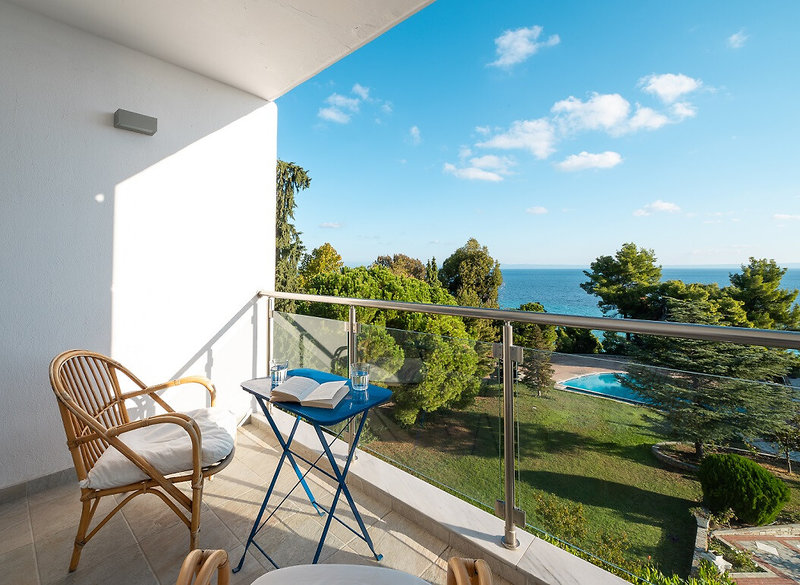 Mitsis Alexander the Great 13