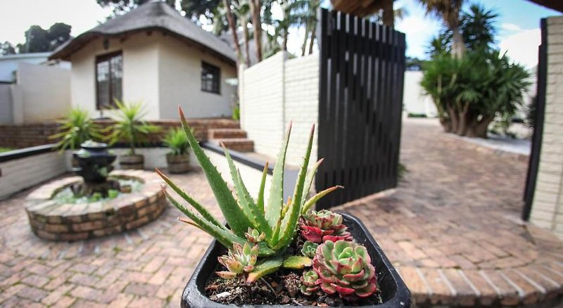 Winelands Villa Guesthouse & Cottages 9