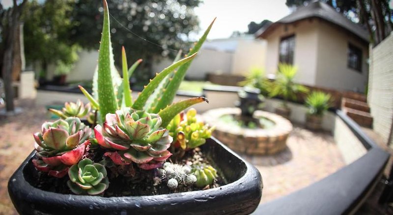 Winelands Villa Guesthouse & Cottages 11