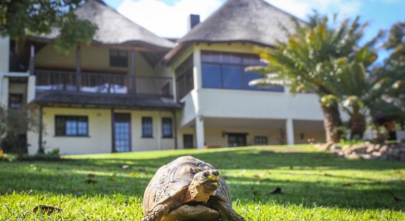 Winelands Villa Guesthouse & Cottages 18