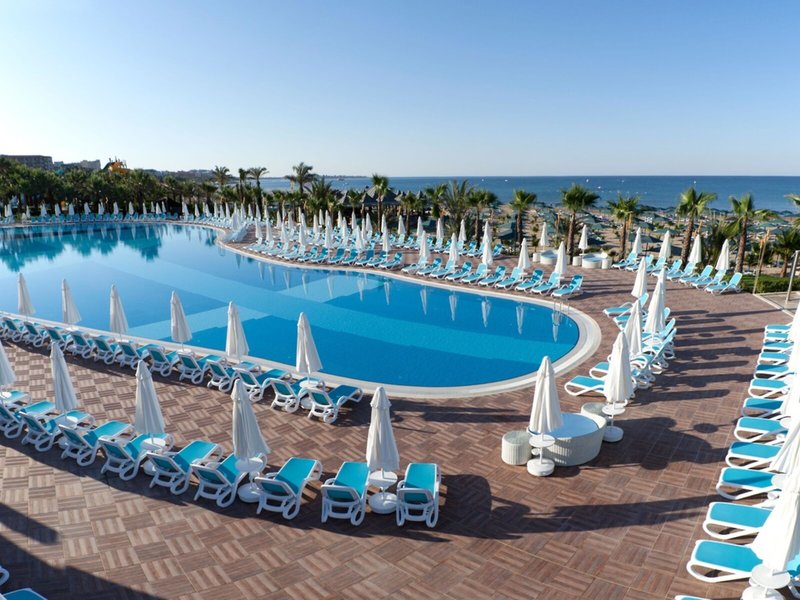 Paloma Oceana 6