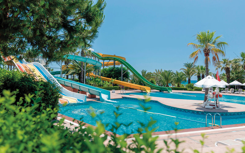 Paloma Oceana 20