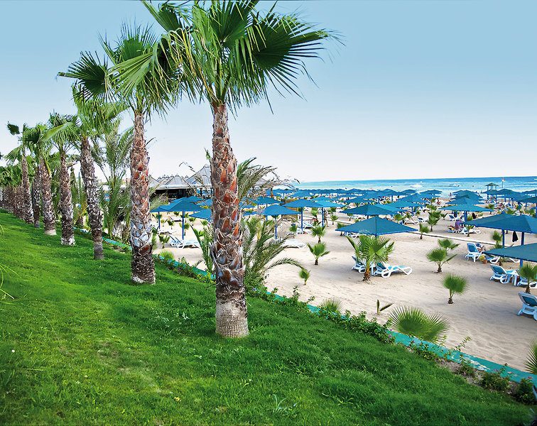 Paloma Oceana 23