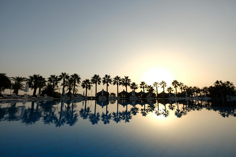 Paloma Oceana 9