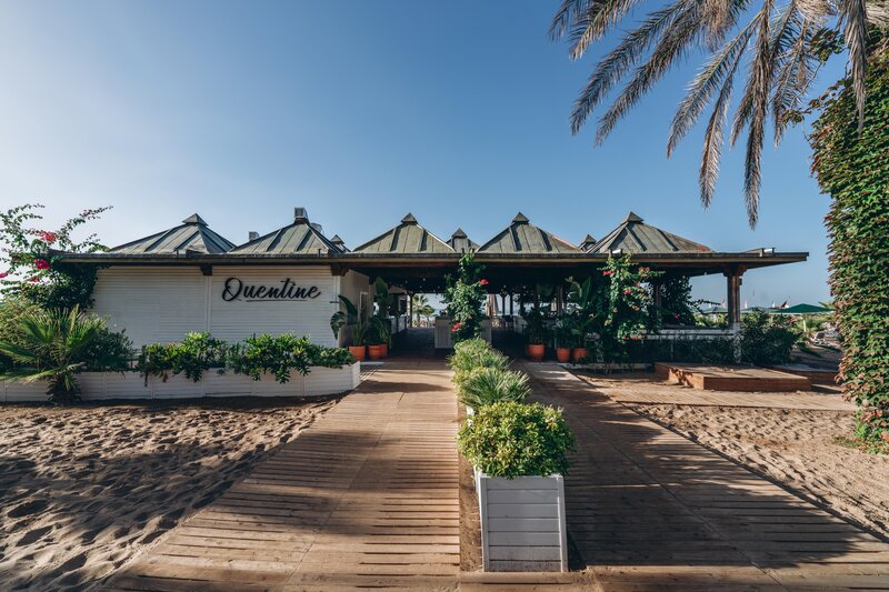 Paloma Oceana 34