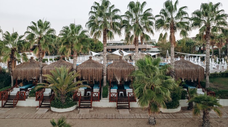 Paloma Oceana 35