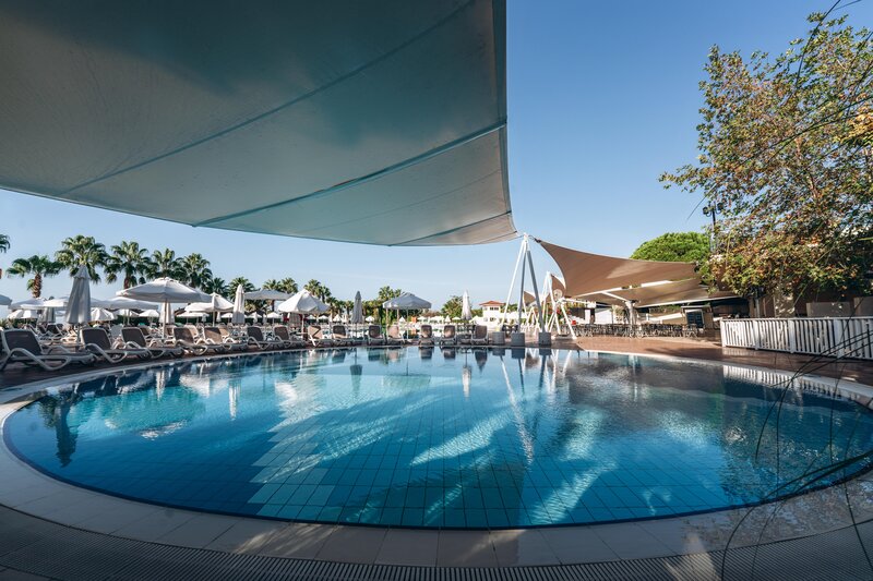 Paloma Oceana 42
