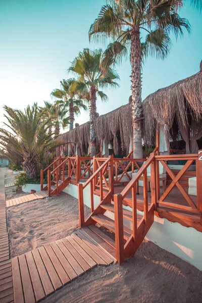 Paloma Oceana 59