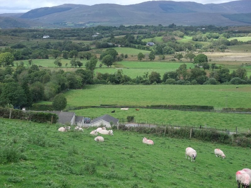 White Heather Farmhouse 2