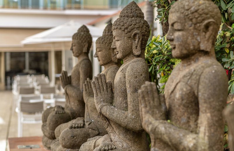 Hotel La Palmera & Spa 5