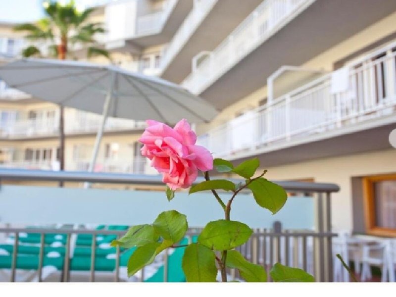 Ecuador Park Aparthotel 4