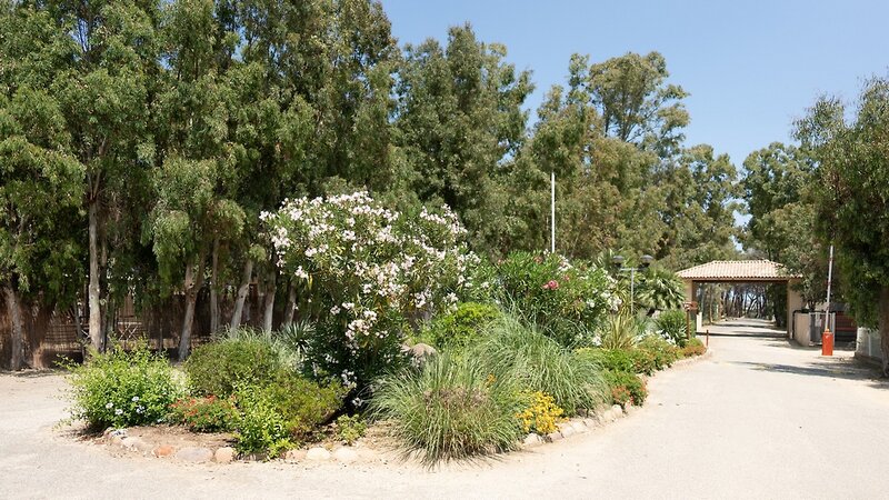 La Pinede Camping Calvi 7 - Garden