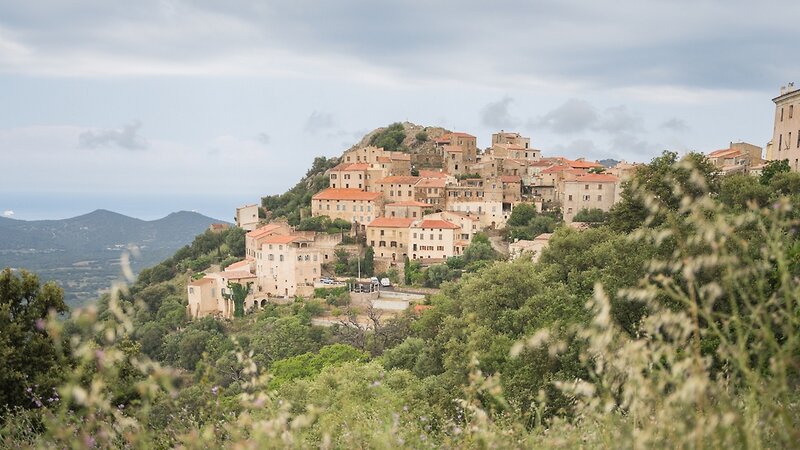 La Pinede Camping Calvi 24 - Landscape