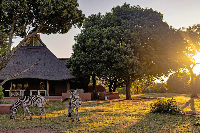 Crossing  Lodges - Zebras Crossing 3