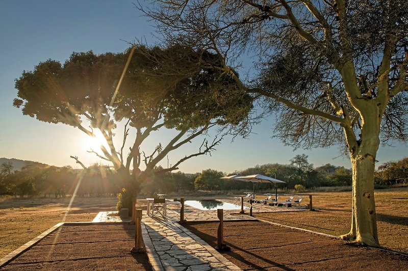 Crossing  Lodges - Zebras Crossing 5