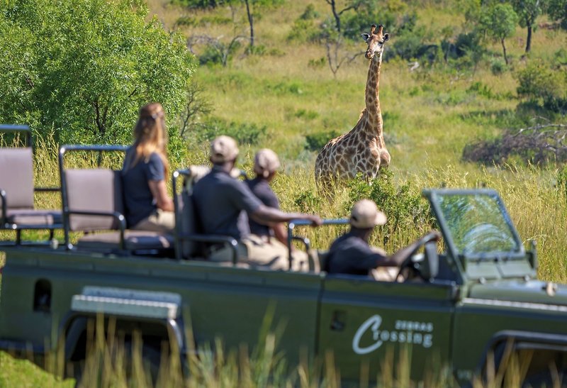 Crossing  Lodges - Zebras Crossing 15