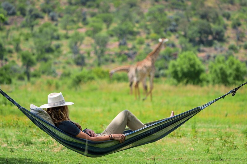 Crossing  Lodges - Zebras Crossing 16