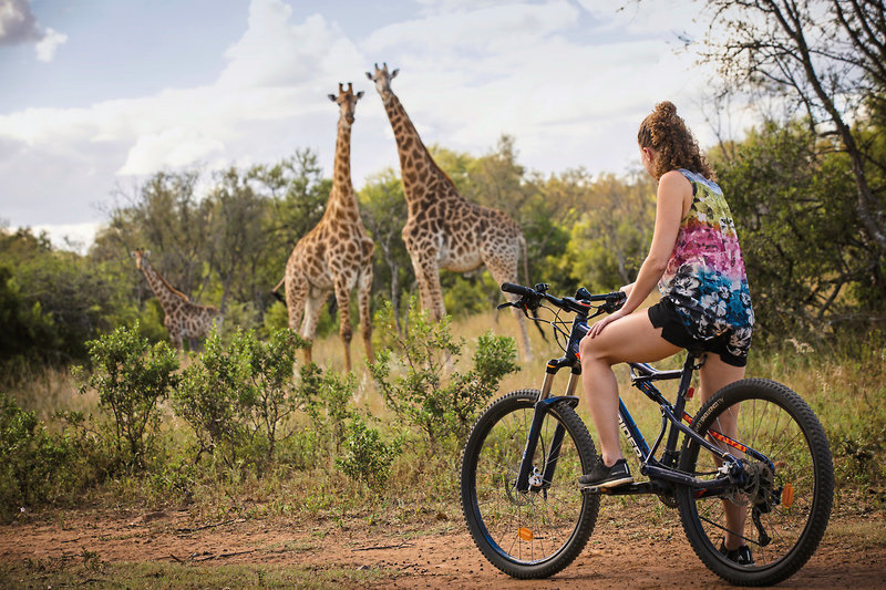 Crossing  Lodges - Zebras Crossing 19