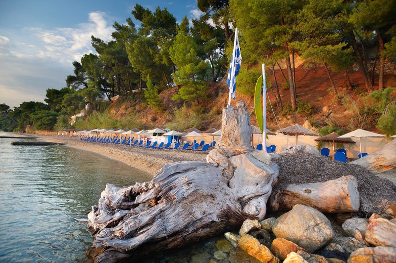 Acrotel Athena Pallas 51