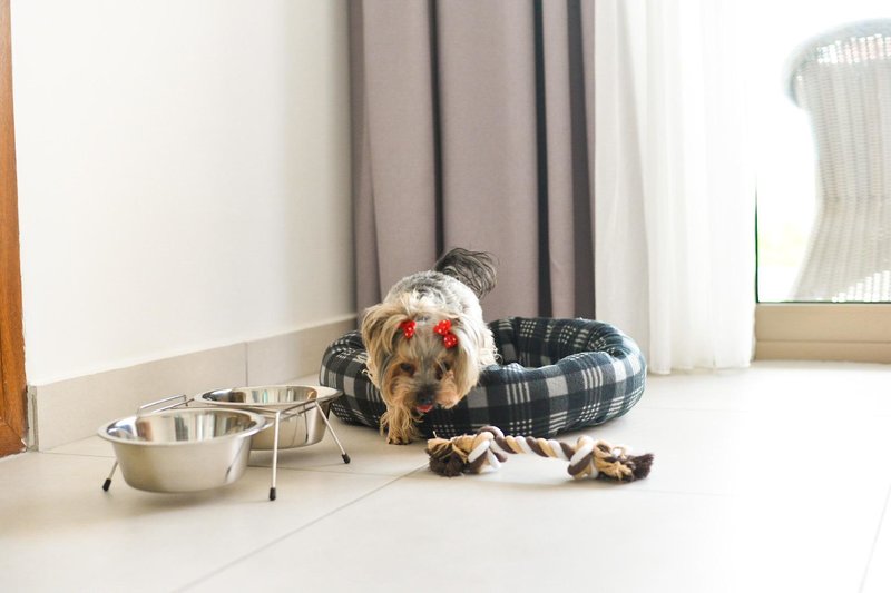 Acrotel Athena Pallas 199