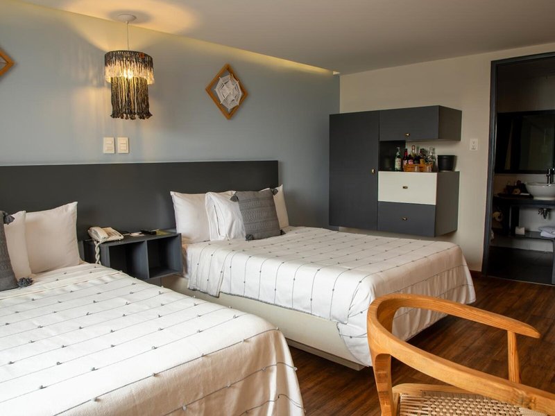 Fontan Reforma 31 - Room Example