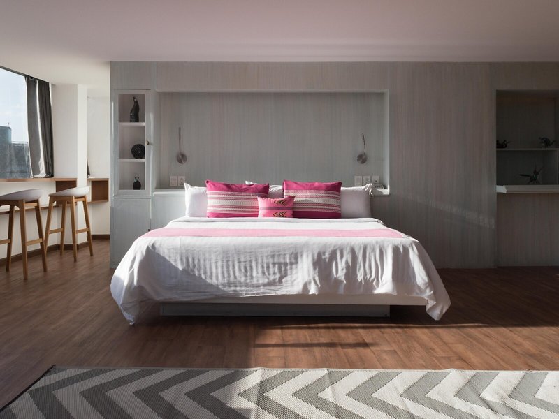 Fontan Reforma 47 - Room Example