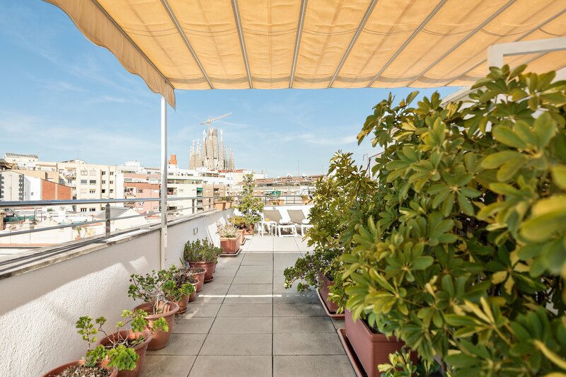 Aranea Barcelona 26 - Terrace