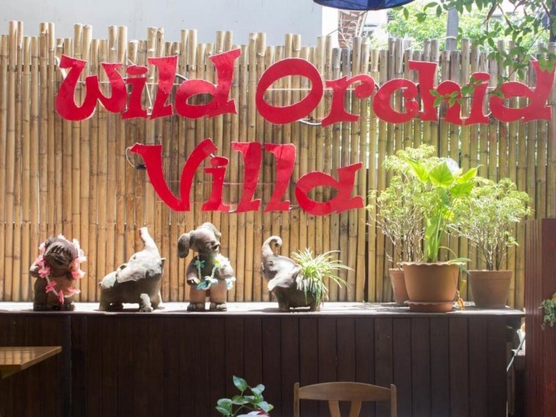 Wild Orchid Villa 4