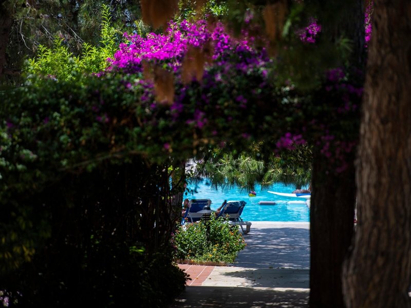 Turquoise Hotel 6