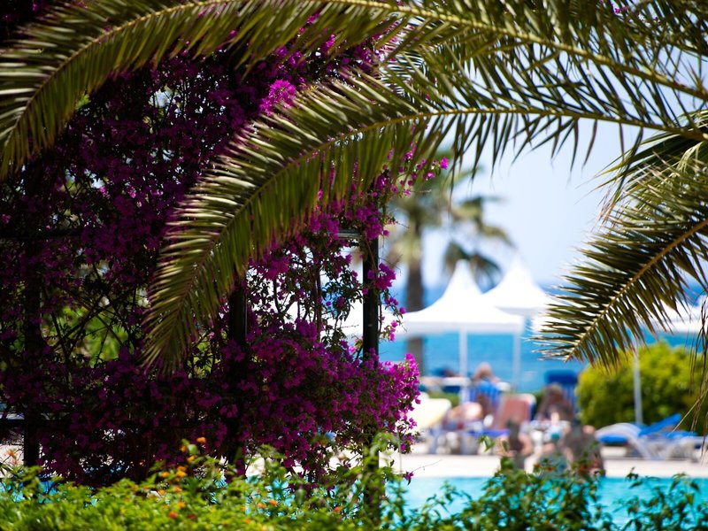 Turquoise Hotel 7