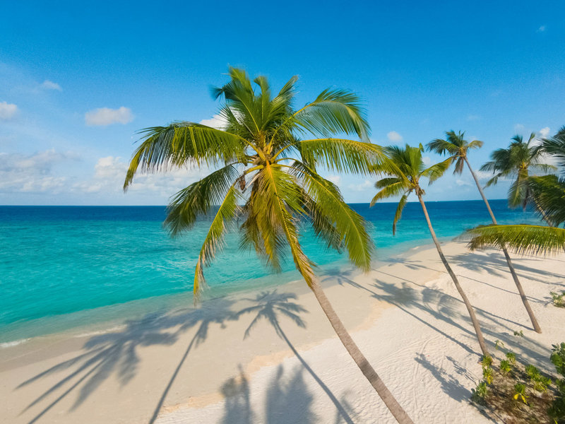 Milaidhoo Island 7