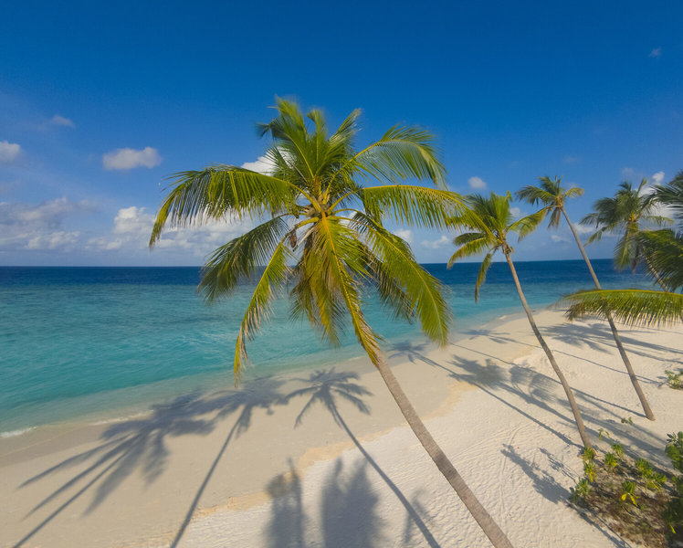 Milaidhoo Island 10